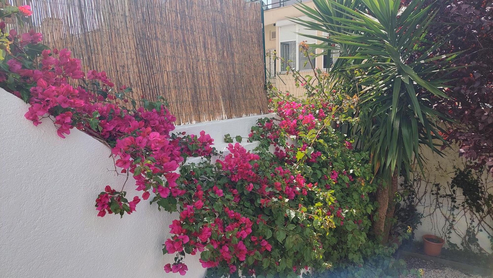 Apartment With Private Garden - Central Location Lissabon Exterior foto